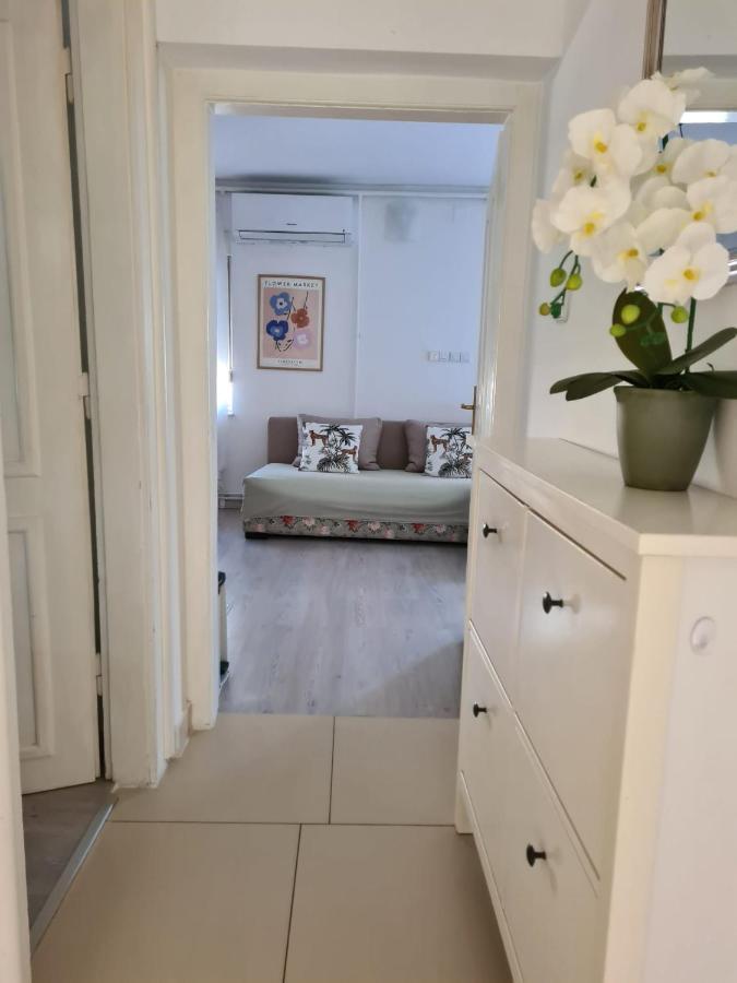 Appartamento St Anthony'S House With Parking Zagabria Esterno foto